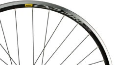 Delux + CXP Pro + Sapim Race 28" Laufrad -Abus Fahrrader Geschaft 160071