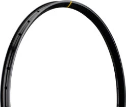 Mavic EX 828 Disc 29" Felge -Abus Fahrrader Geschaft 298193