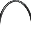Dt-swiss X 392 Disc 29" Felge -Abus Fahrrader Geschaft 310856