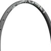 Newmen Advanced SL X.A.30 Disc 29" Carbon Felge -Abus Fahrrader Geschaft 322867