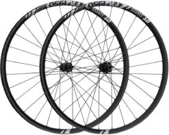 Dt-swiss FR 1950 CLASSIC 30 Boost Disc Center Lock 29" Laufradsatz