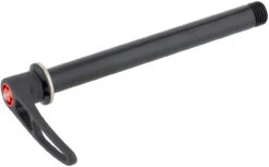 Dt-swiss RWS Boost MTB Steckachse Mit Schnellspannhebel -Abus Fahrrader Geschaft 348565