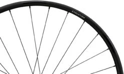 Newmen Evolution SL X.R.25 FADE Disc Center Lock 28" Laufradsatz -Abus Fahrrader Geschaft 387565