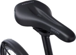 Modell 1 Damen Fahrrad -Abus Fahrrader Geschaft 392658