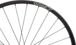 Dt-swiss X 1900 SPLINE 25 Boost Disc Center Lock 29" Laufradsatz -Abus Fahrrader Geschaft 412867