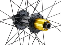 Tune Race 29 Endurance Boost Disc 6-Loch 29" Laufrad -Abus Fahrrader Geschaft 461144