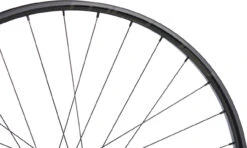 Tune Race 29 Endurance Boost Disc 6-Loch 29" Laufrad -Abus Fahrrader Geschaft 461145
